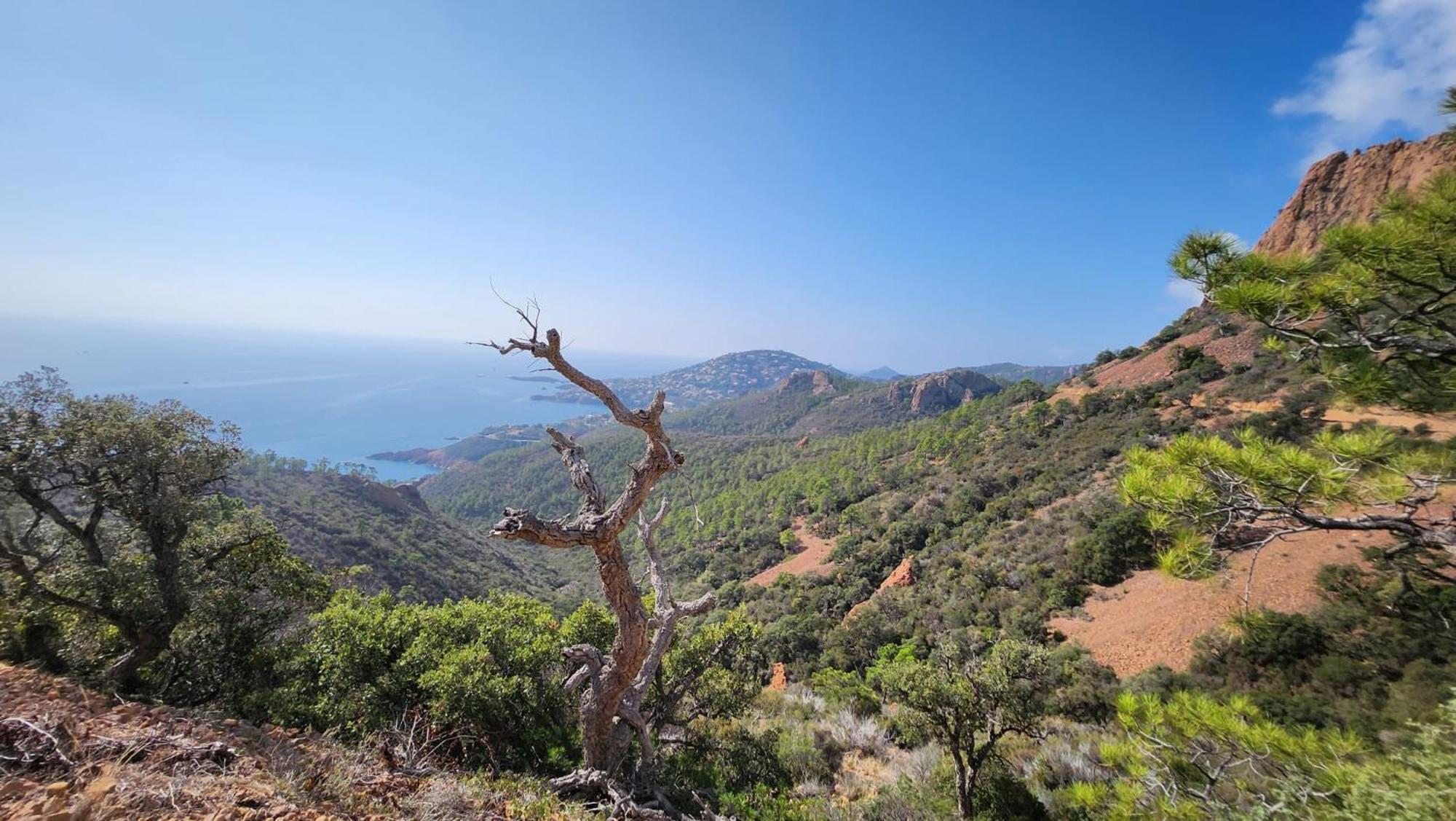 Saint-Raphael- Vue Mer Et Massif De L'Esterel エクステリア 写真